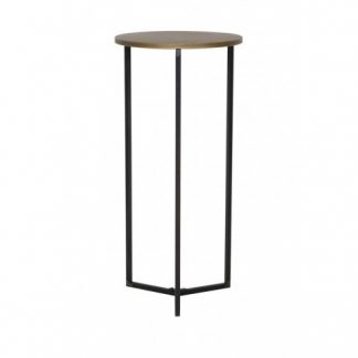 LM 6722020 TORTULA PILLAR