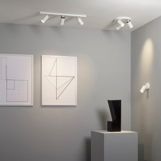 80448-cancollection-saniapell-insitu