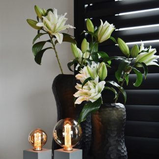 Globe_G125-LED_bulb_3.5W_120lm_1800K_Dimmable_3