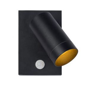 LU 09831-01 TAYLOR 1LT