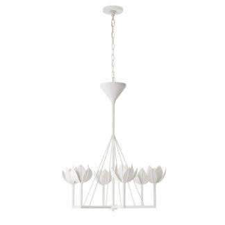 ART JN 5003 ALBERTO SMALL