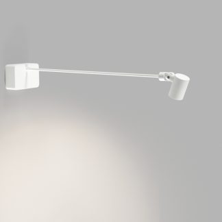 LPT 261670 FOCUS GALLERY