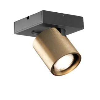 LPT FOCUS 1LT SPOTLIGHT