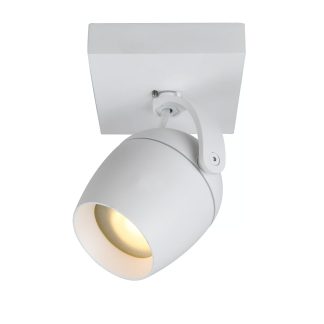 LU 09937-01-31 PRESTON SPOTLIGHT