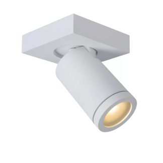 LU 09930-05-31 TAYLOR 3LT IP44 SPOTLIGHT