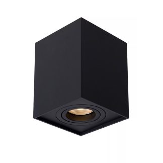 LU 22953-01-30 TUBE CEILING SPOTLIGHT