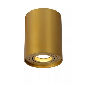 LU 22952-01 TUBE CEILING SPOT