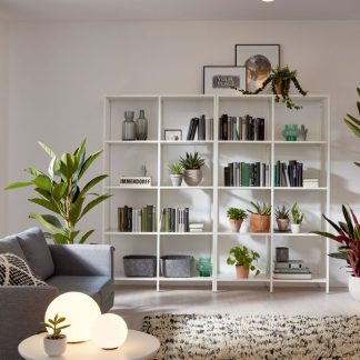 DRO_CEILING_SURFACE_1